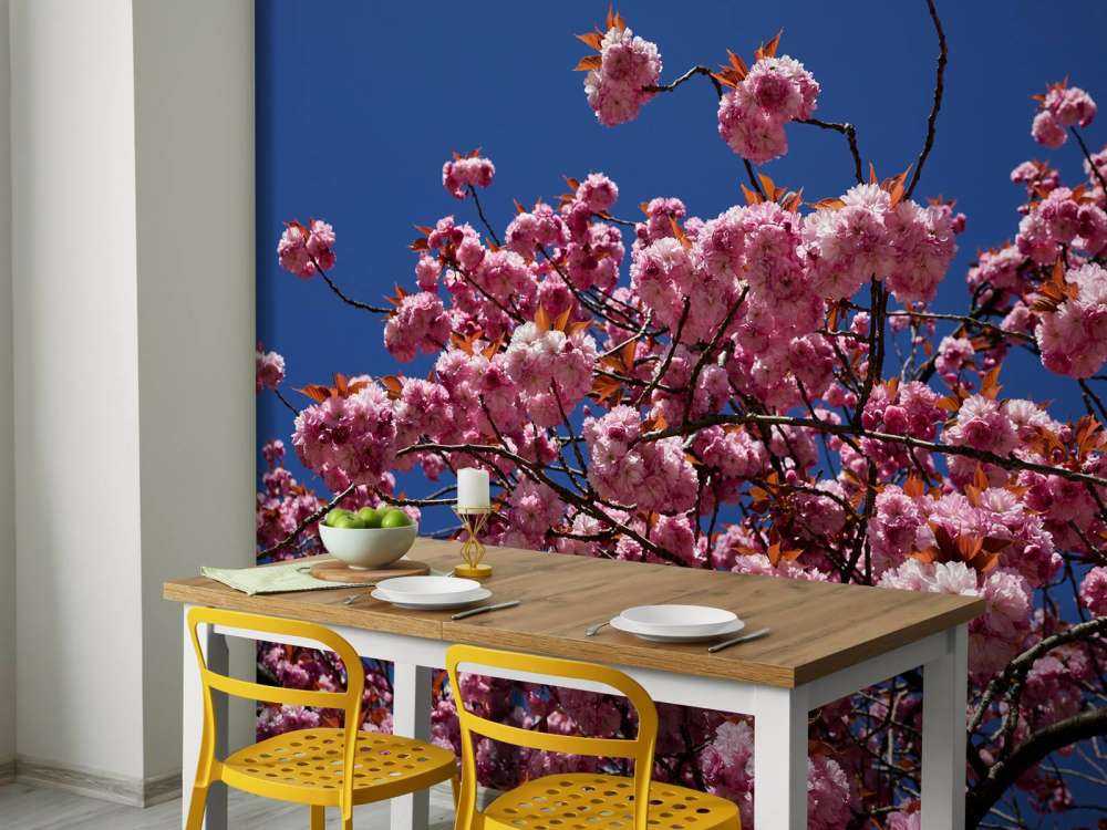 Fleur rose avec ciel bleu