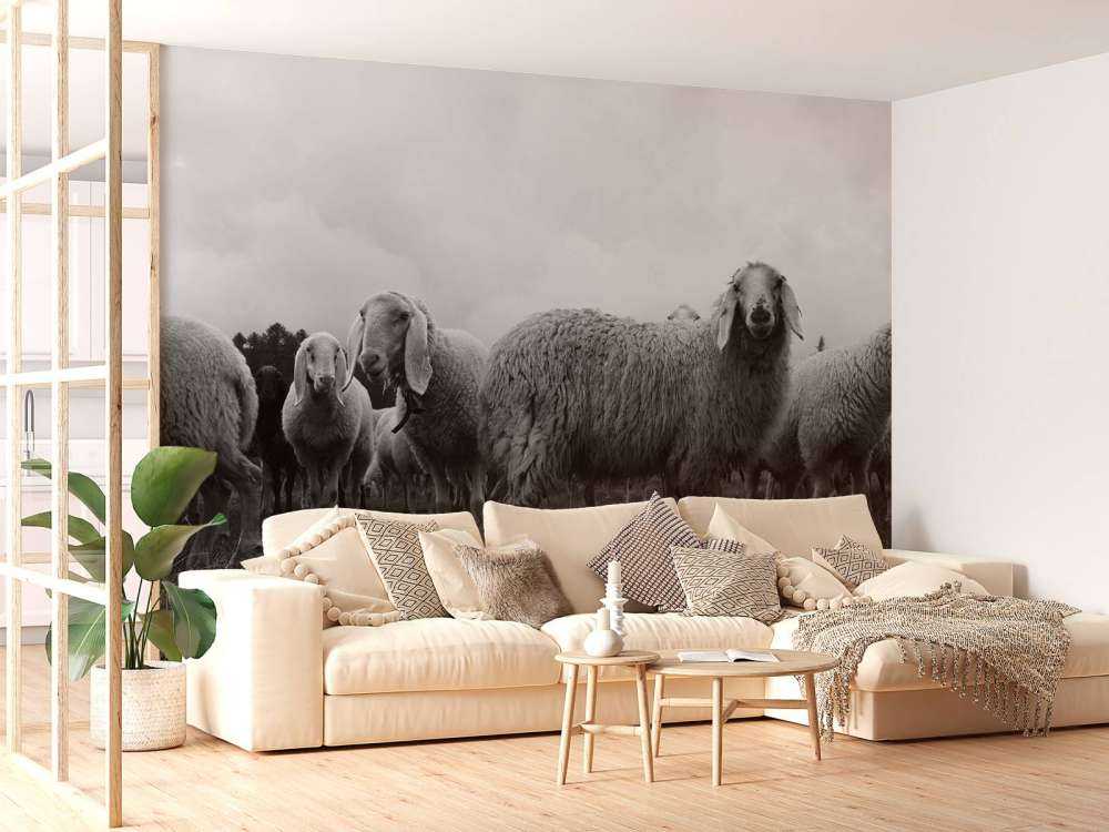 Troupeau de moutons en noir et blanc