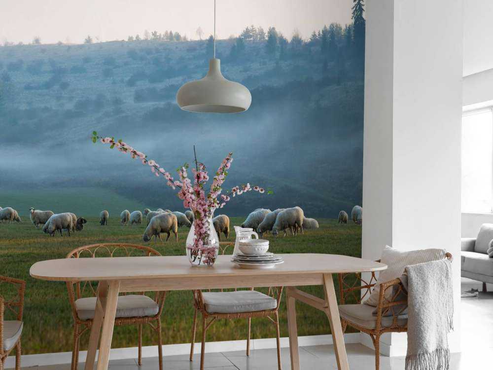 Troupeau de moutons avec paysage brumeux