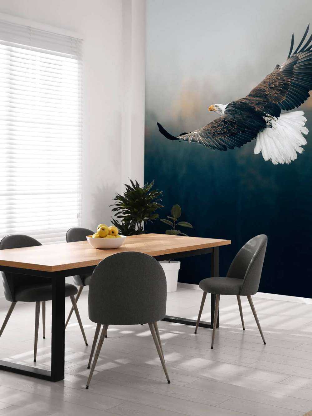 Pygargue à tête blanche au-dessus de la forêt