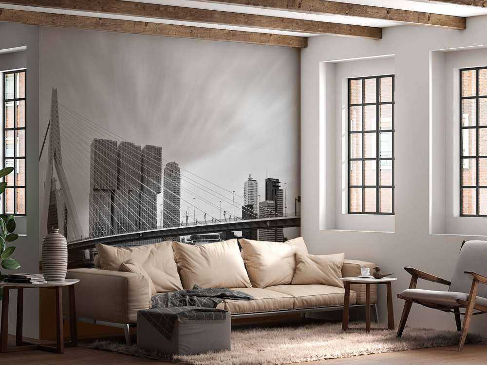 Pont Erasmus noir et blanc