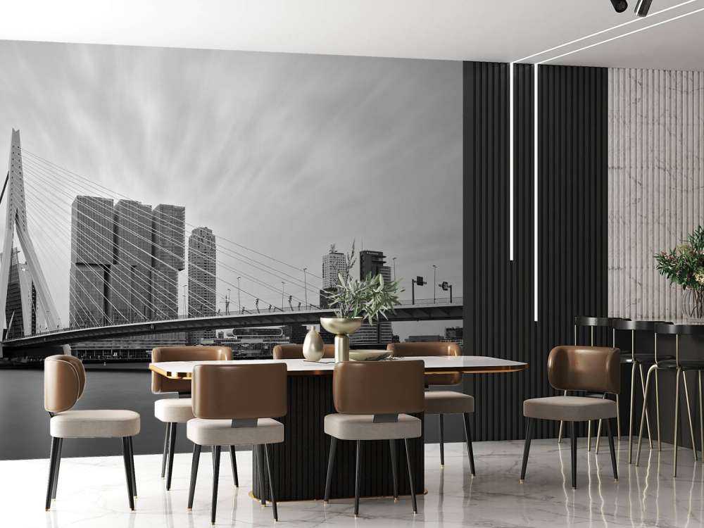 Pont Erasmus noir et blanc