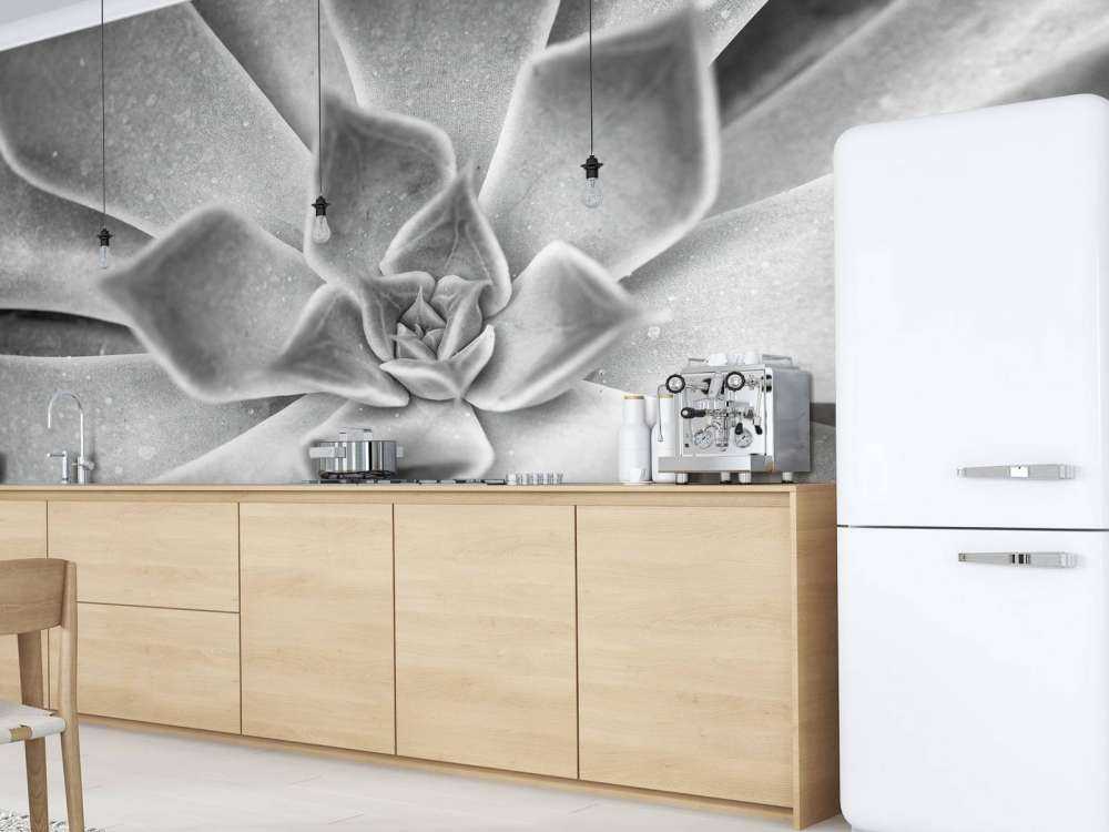 Succulent en noir et blanc