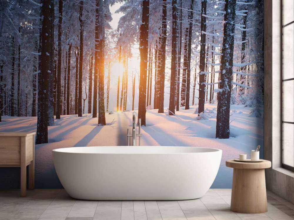 Coucher de soleil dans une forêt d'hiver