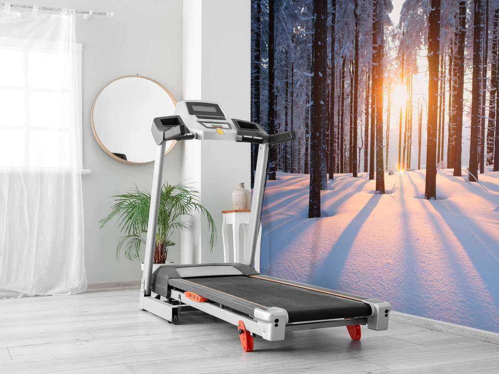 Coucher de soleil dans une forêt d'hiver