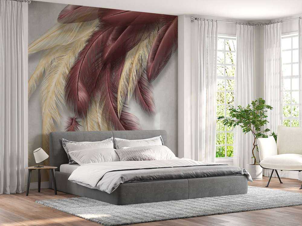 Plumes sur du béton