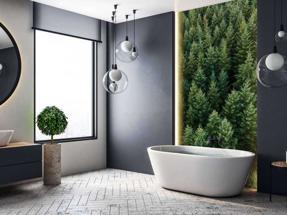 Les sapins de Douglas vus d'en haut