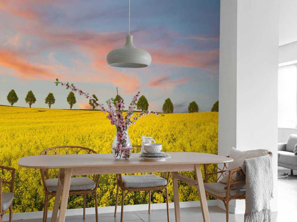 Champ plein de fleurs jaunes