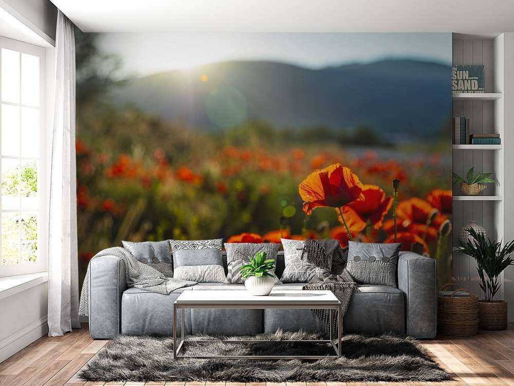 Coquelicots avec rayons de soleil