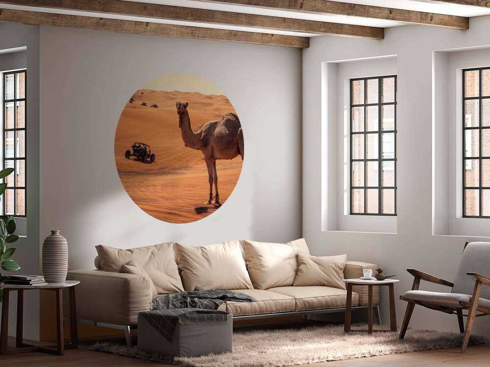 Aventure tout-terrain dans le désert