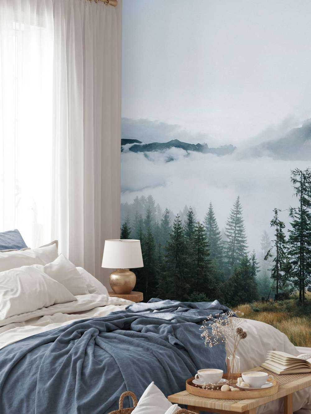 Brume matinale sur la forêt