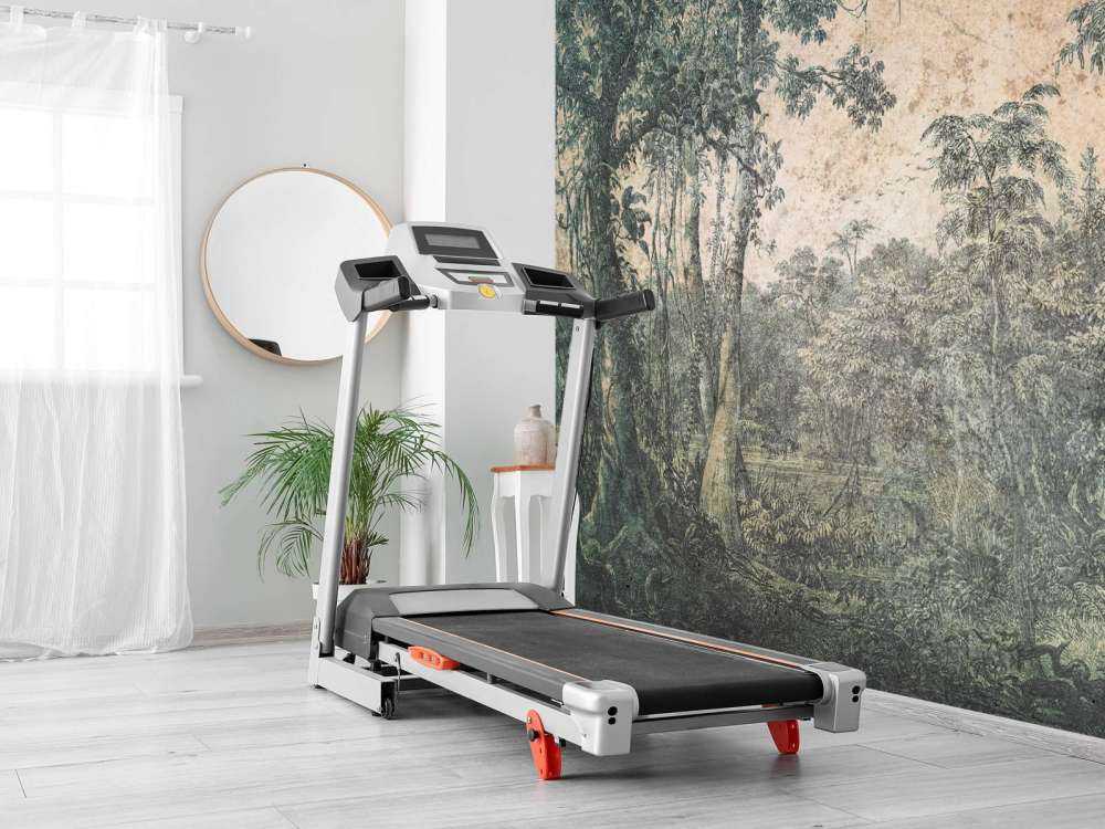 Panorama de forêt tropicale altérée