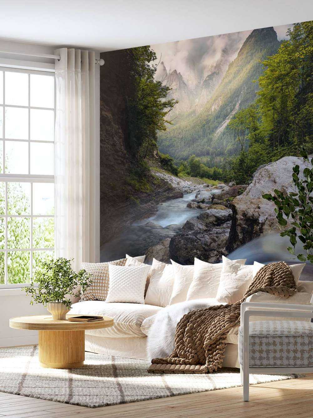 Bergstroom dans la nature