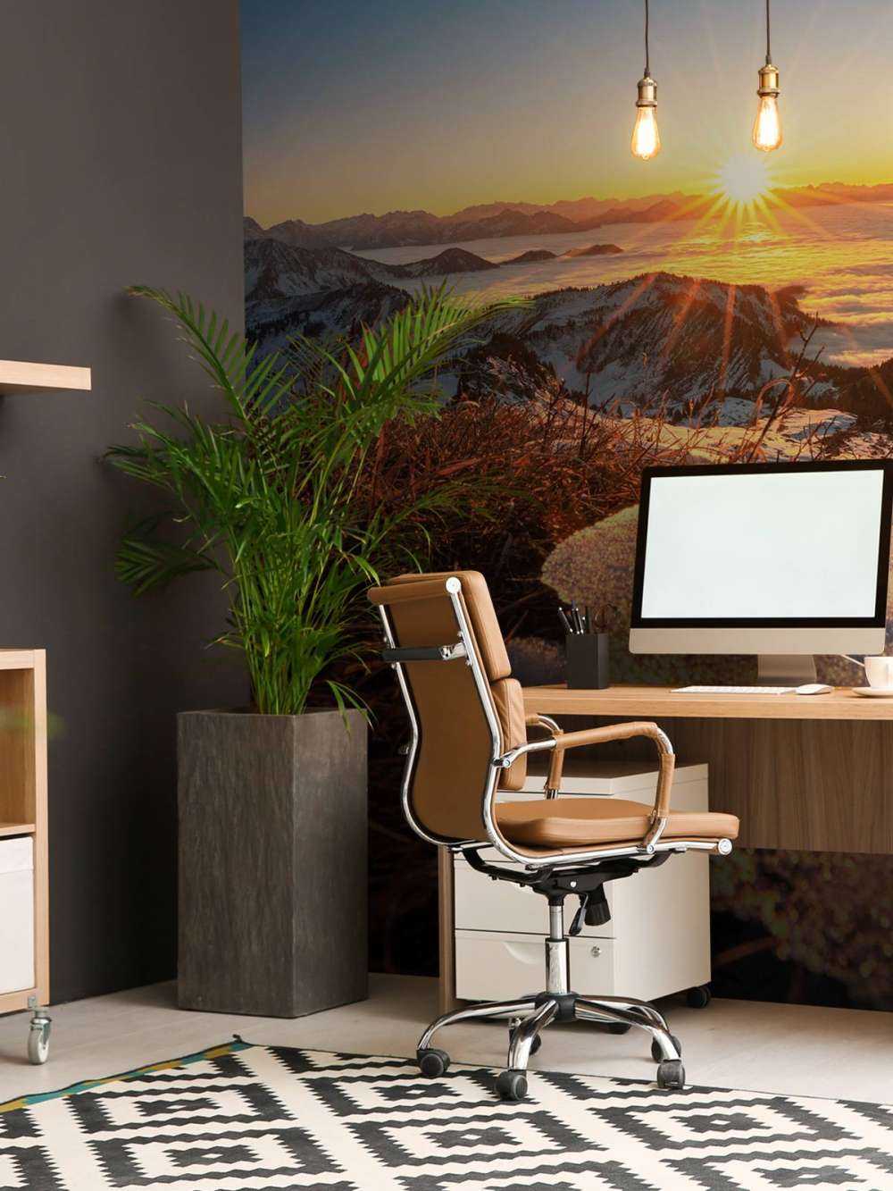 Le soleil du matin sur la prairie de montagne scintillante