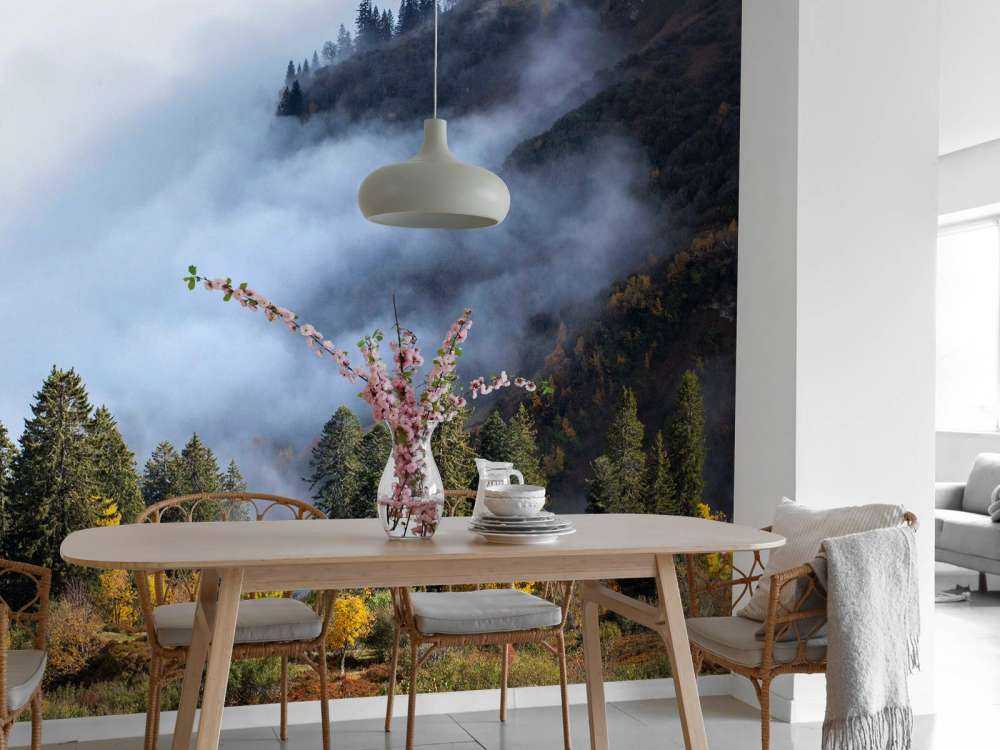 Matin d'automne dans la forêt de montagne brumeuse