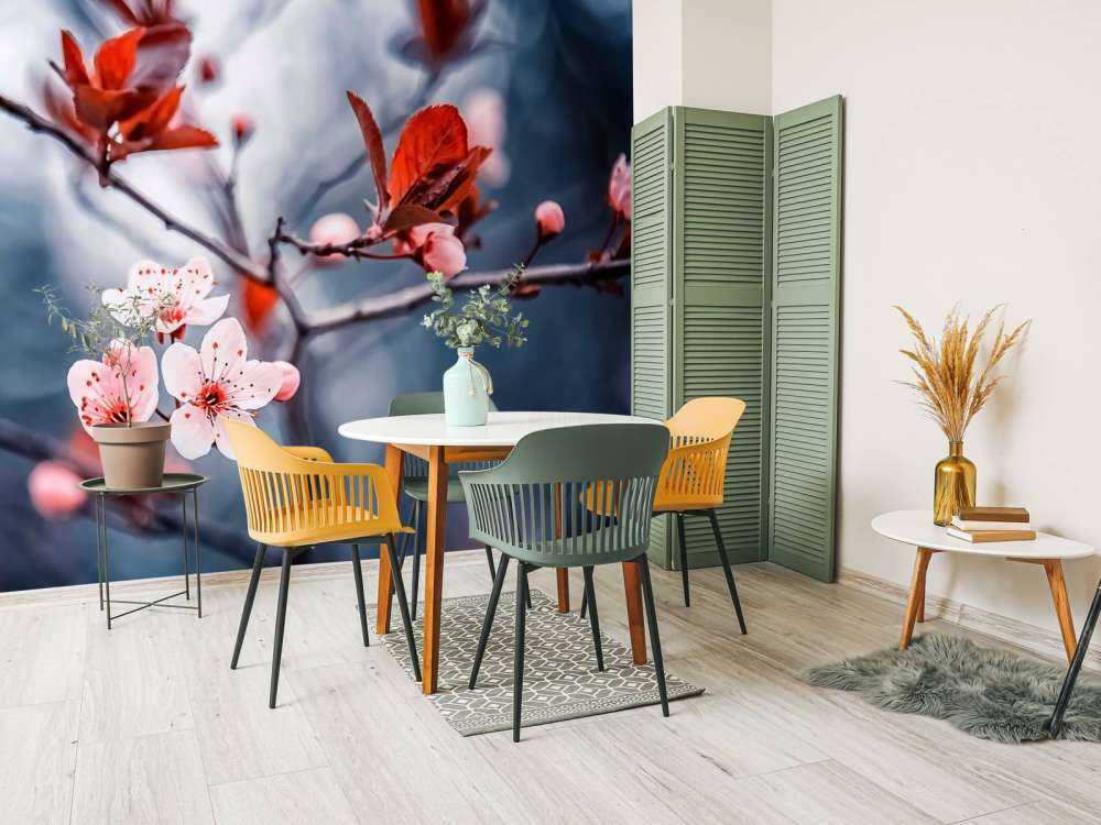 Fleur de cerisier avec des feuilles brun-rouge.