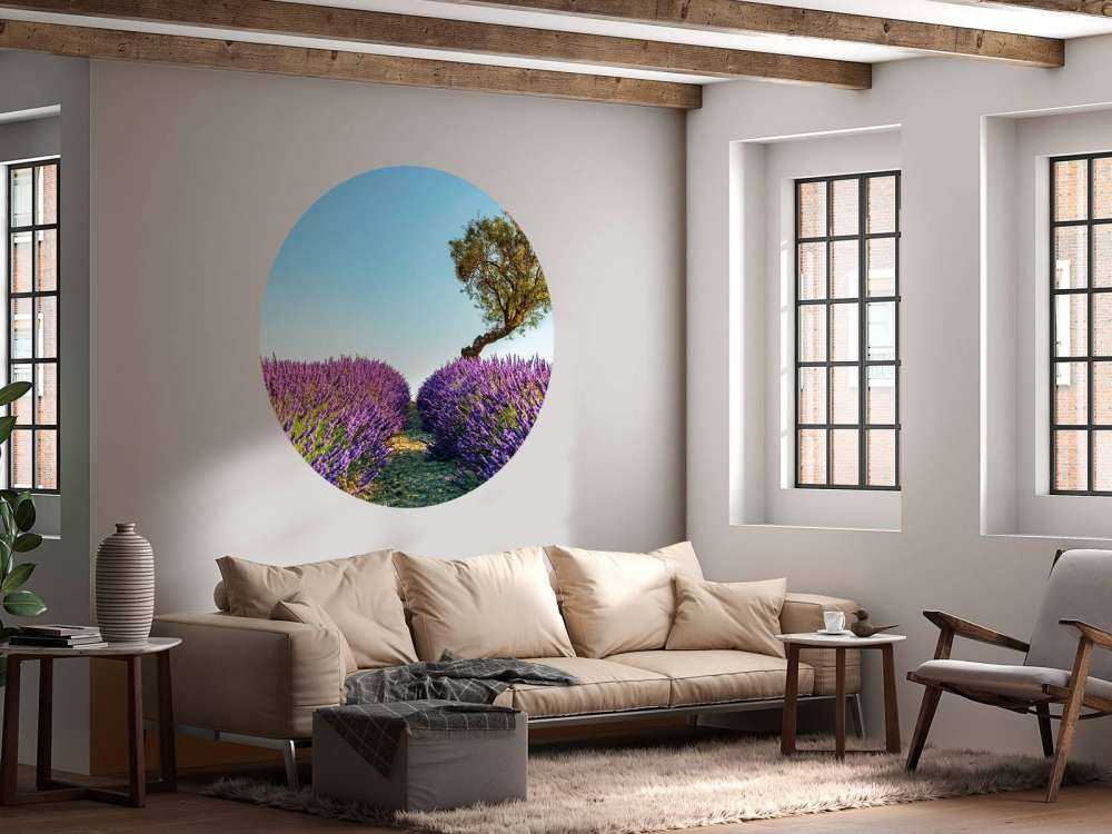 Sentier de lavande sous un ciel bleu.