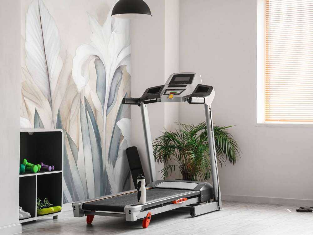 Iris au lever du soleil gris