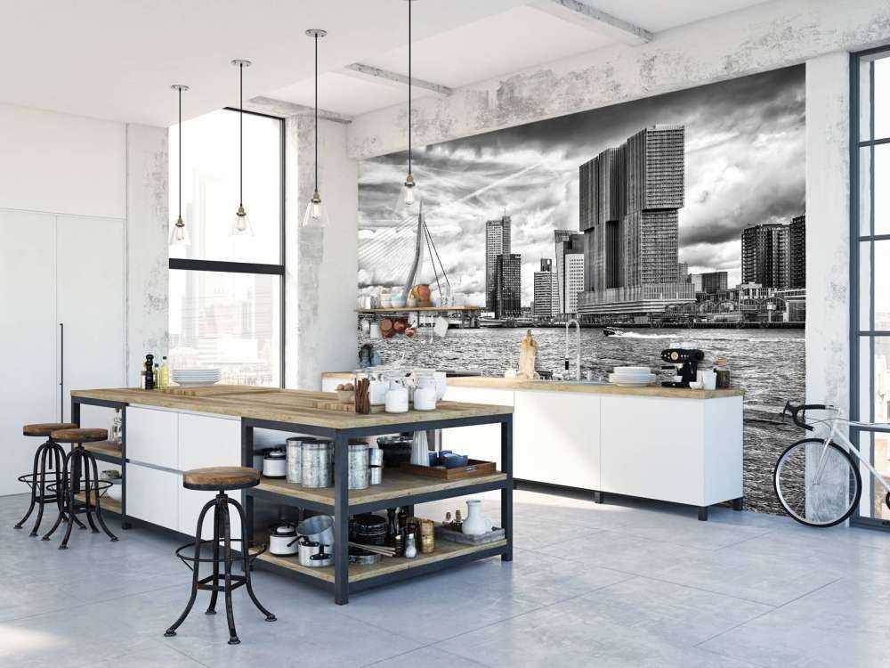 Erasmusbrug et Skyline en Monochrome