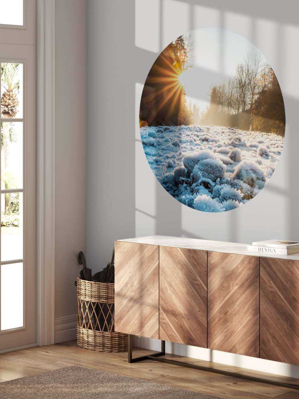 Matin glacial dans la forêt d'hiver