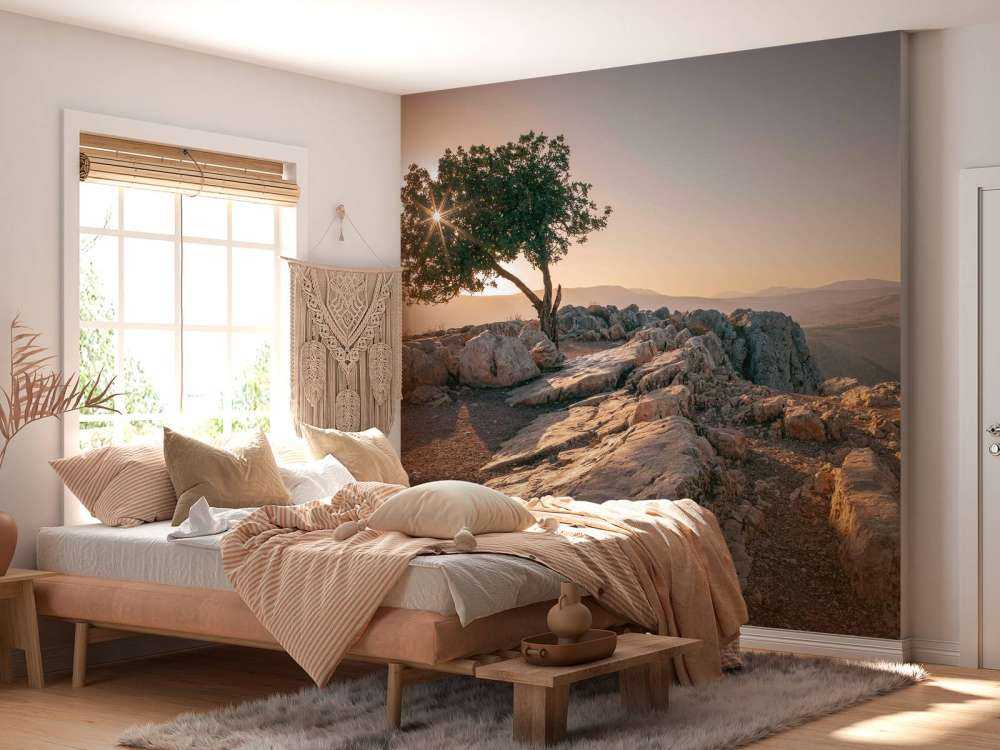 Arbre solitaire sur un paysage rocheux