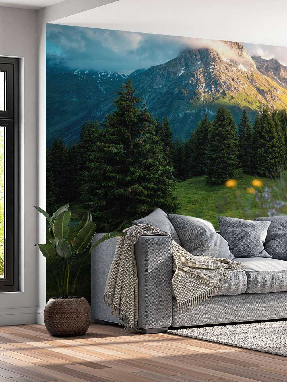 Prairie de montagne dans la brume du matin.