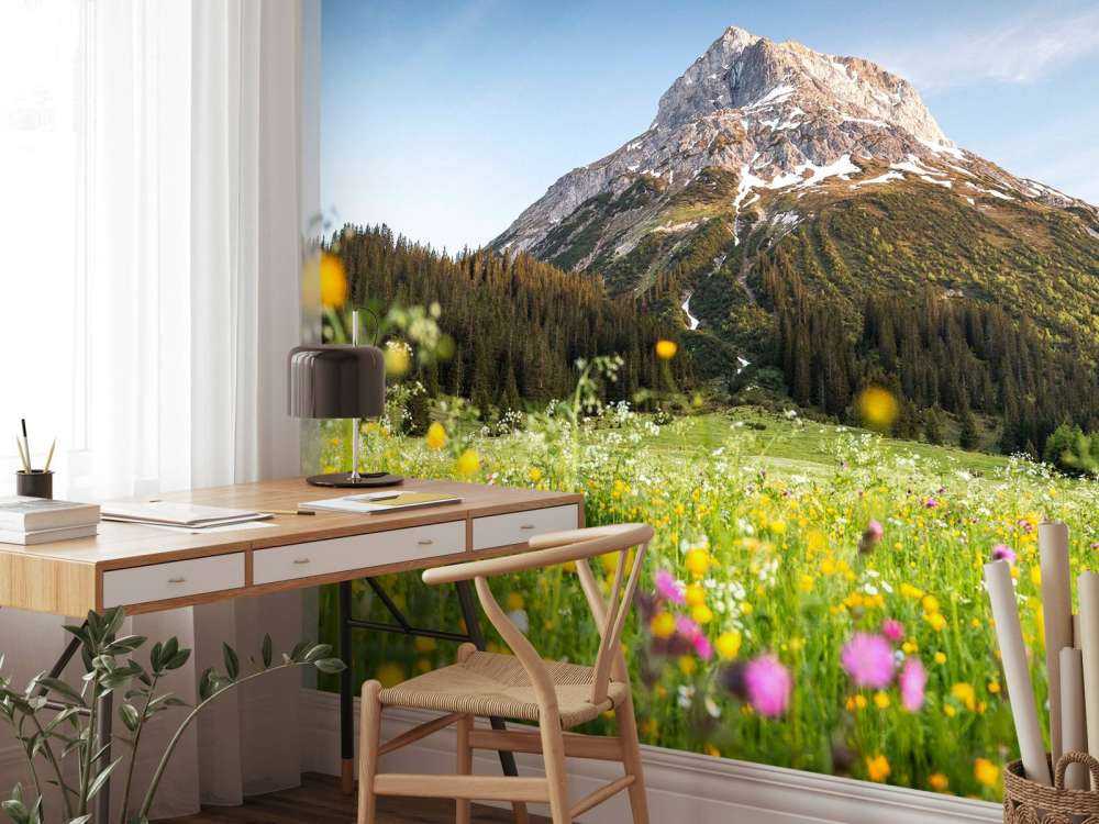 Sommet de la montagne au-dessus de la prairie de fleurs