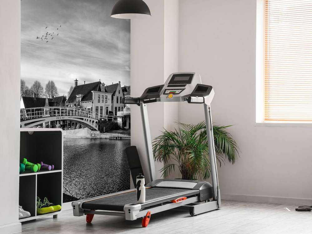 Ville fortifiée de Dokkum Pont sur le Klein Diep Frise 