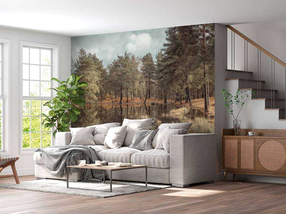 Arbres près d'un lac