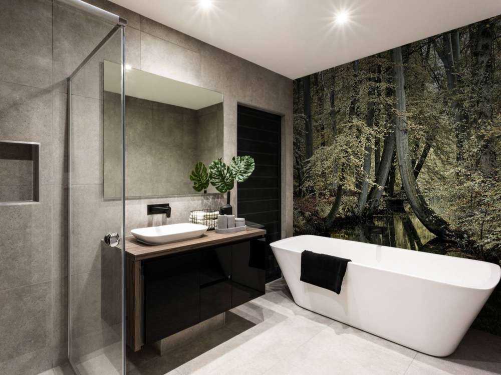 Ruisseau avec des arbres suspendus