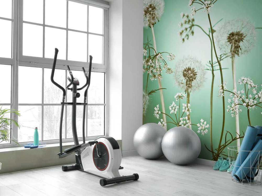 Fantaisie des prés vert