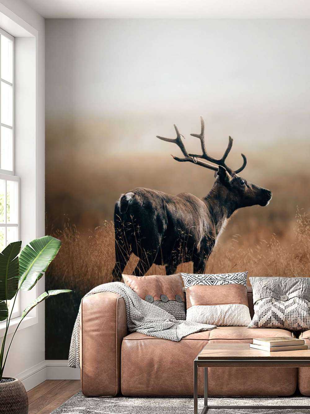 Renne dans les hautes herbes