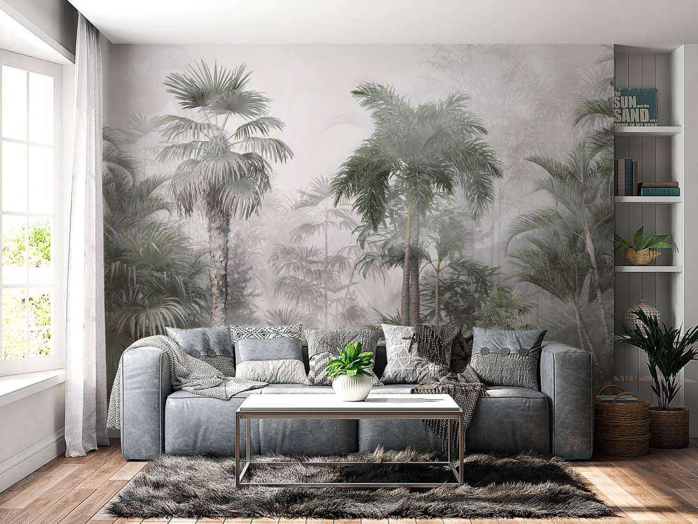 Brume Matinale dans les Tropiques