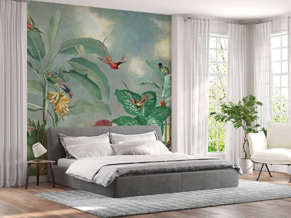 Paradis des Colibris