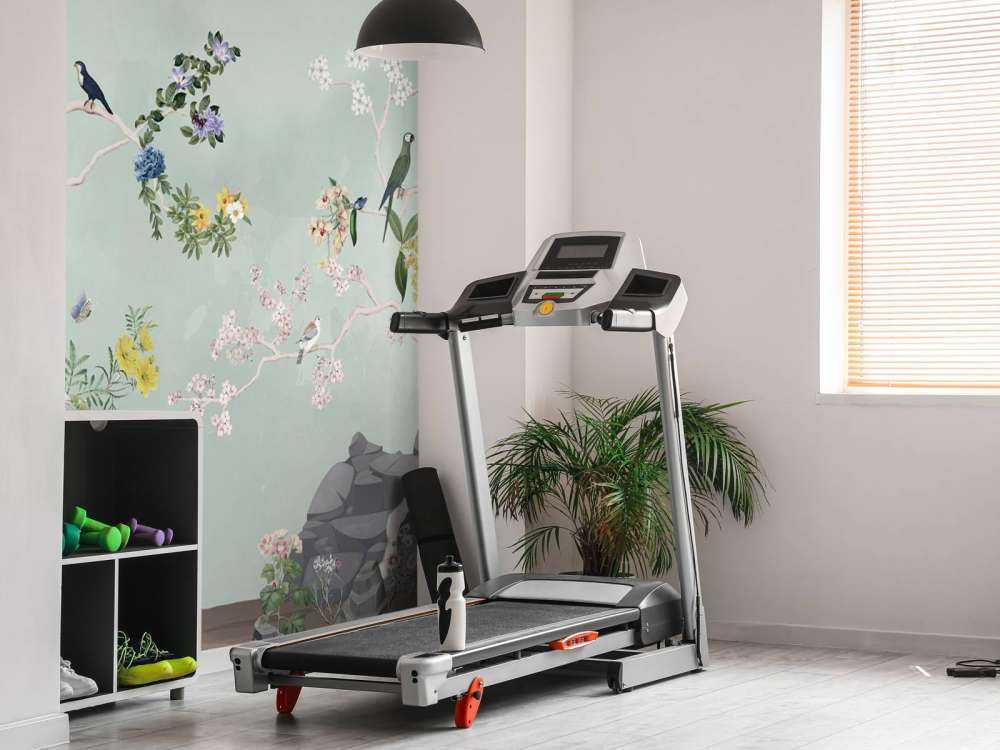 Birds in Garden Panorama 5