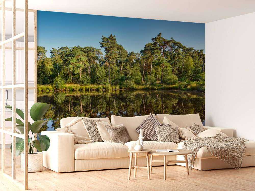 Réflexion dans les bosquets