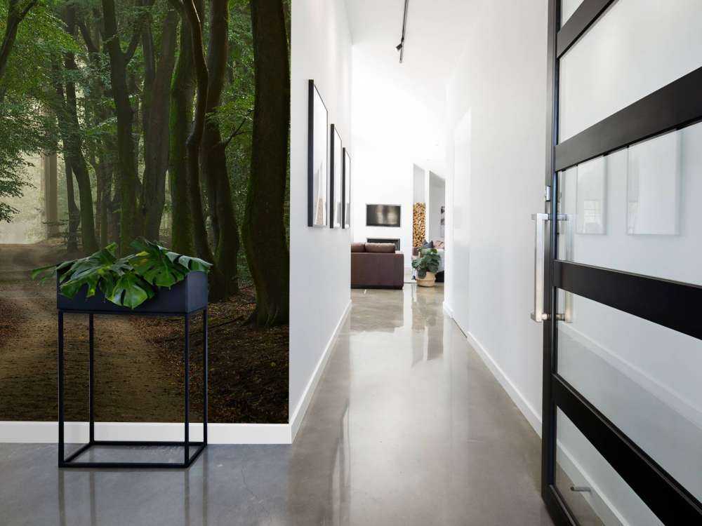 Sentier de sable dans la forêt