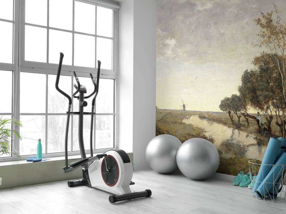 Un mouillage à Abcoude