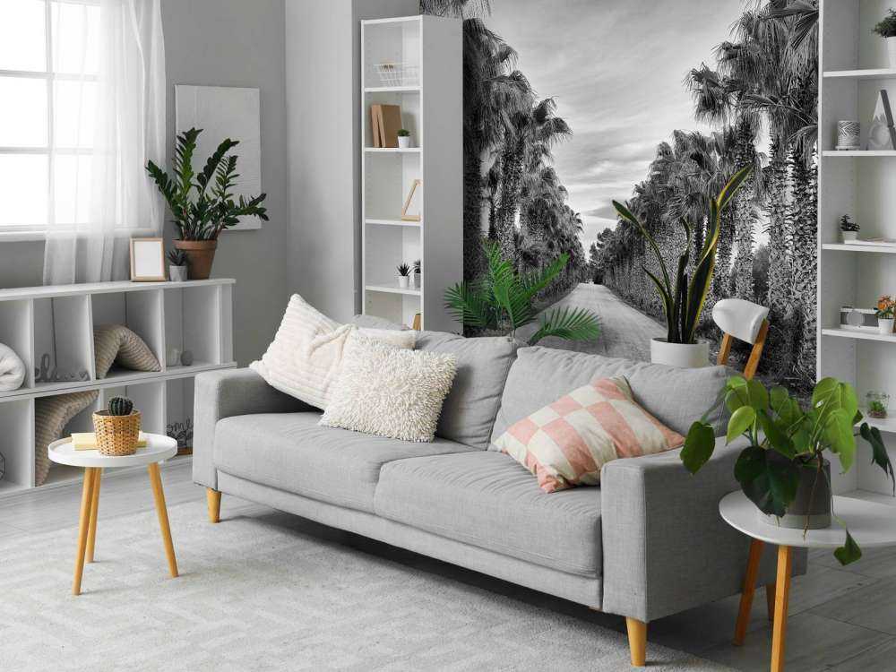 Rue avec des palmiers