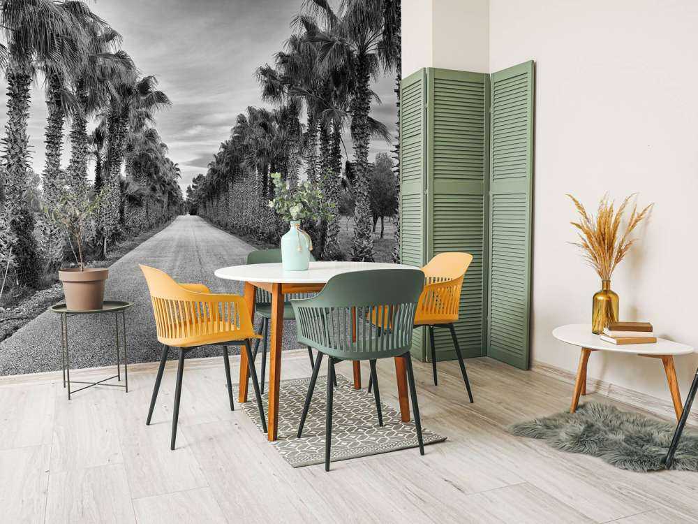 Rue avec des palmiers