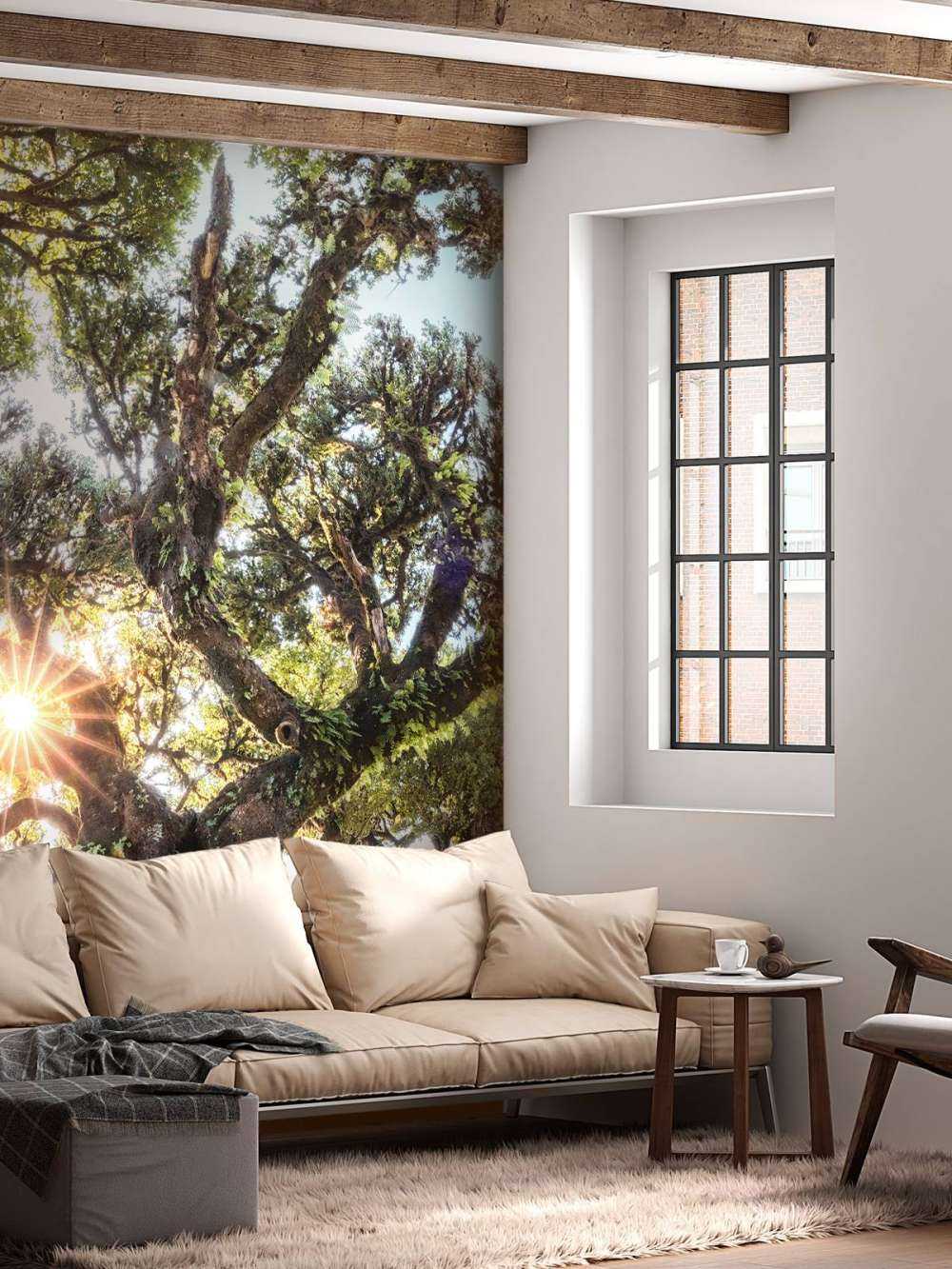 Lumière du soleil à travers les cimes d'arbres anciens