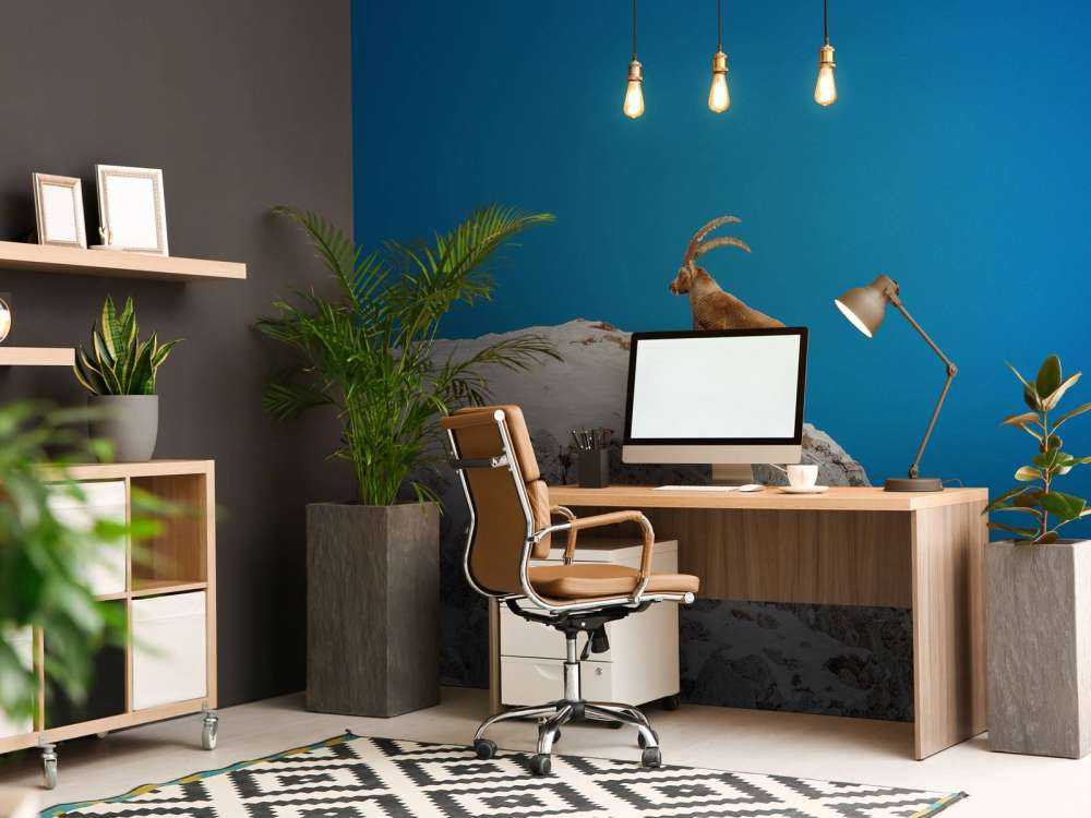 Steenbok sur un pic rocheux enneigé