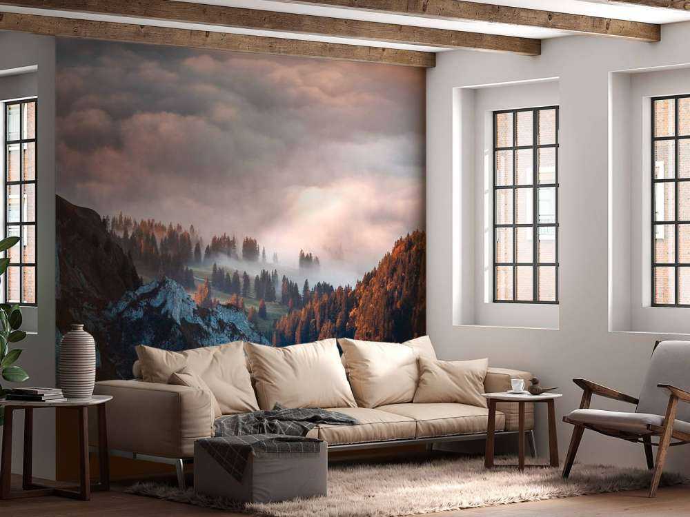 Lisière de forêt dans la brume du matin.