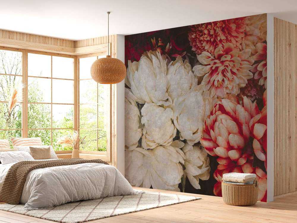 Chrysanthèmes en crème et carmin