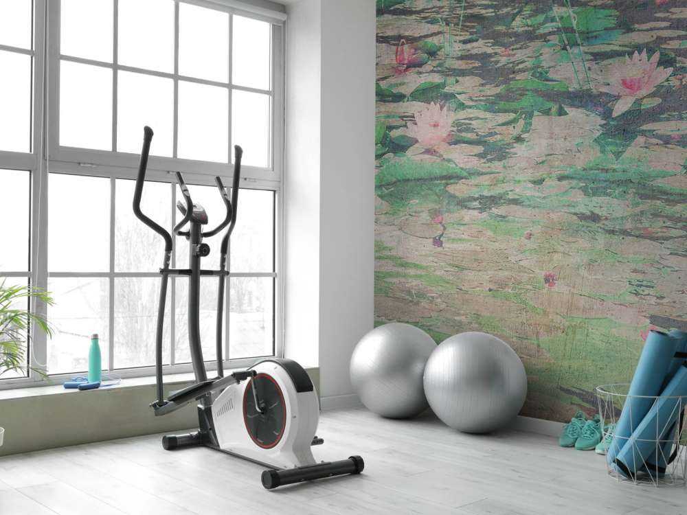 Nénuphars dans la lumière vieillie de l'étang