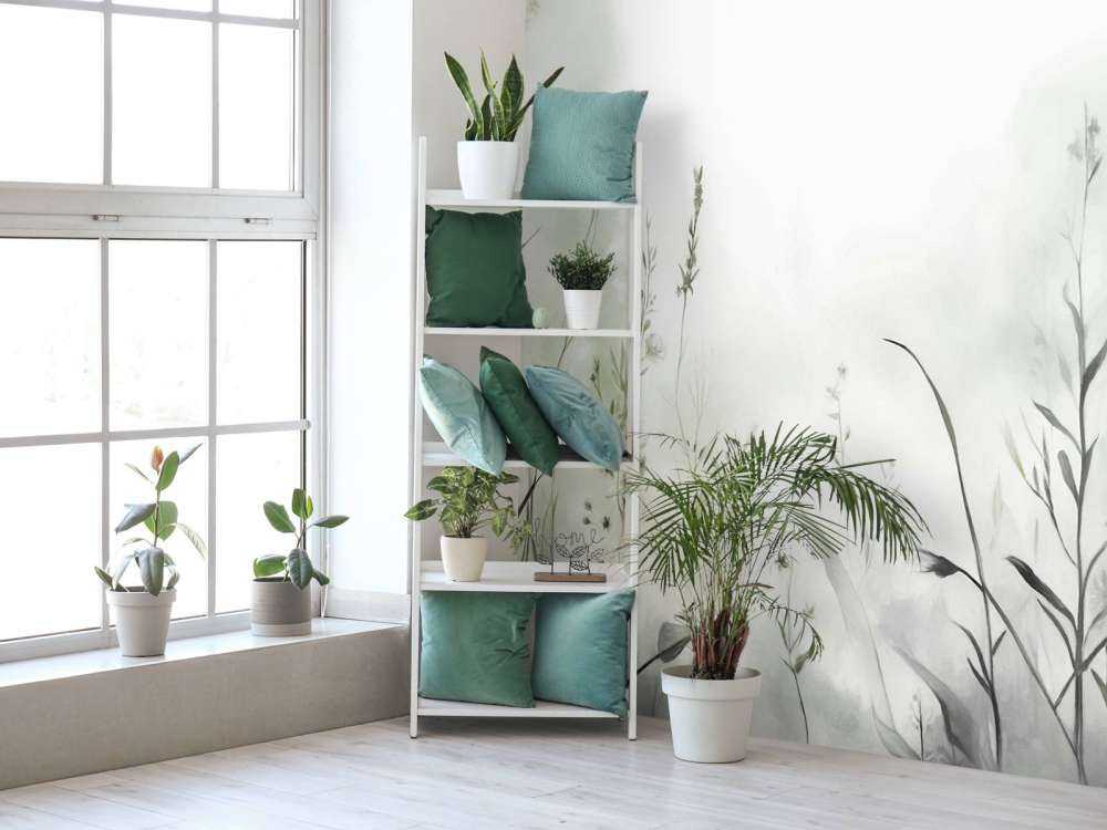 Silence du matin Sauge verte