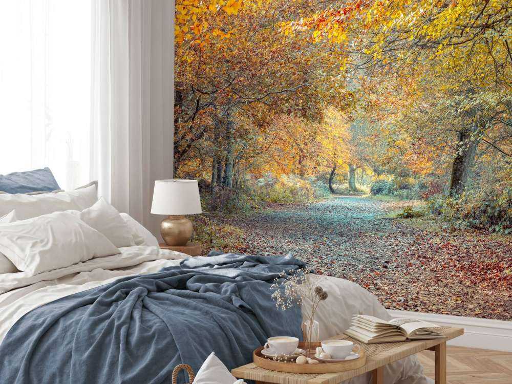 Forêt d’automne avec un feuillage doré
