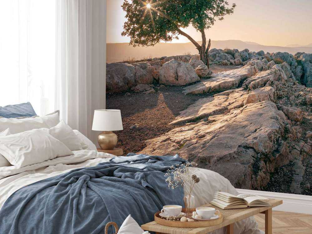 Arbre solitaire sur un paysage rocheux