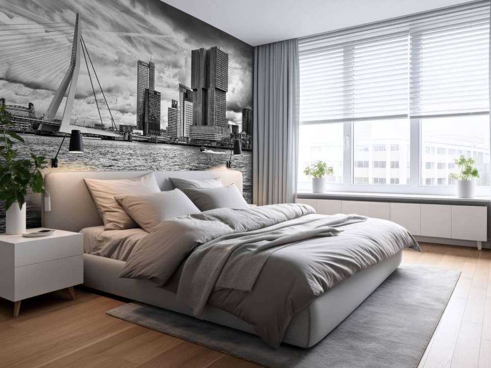 Erasmusbrug et Skyline en Monochrome