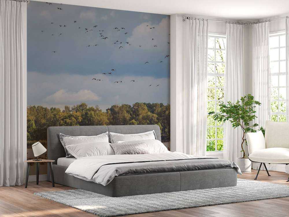 Vol au-dessus de l'eau